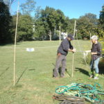 erecting deer fencing