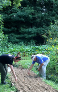 garden volunteers