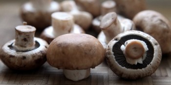 criminy mushrooms